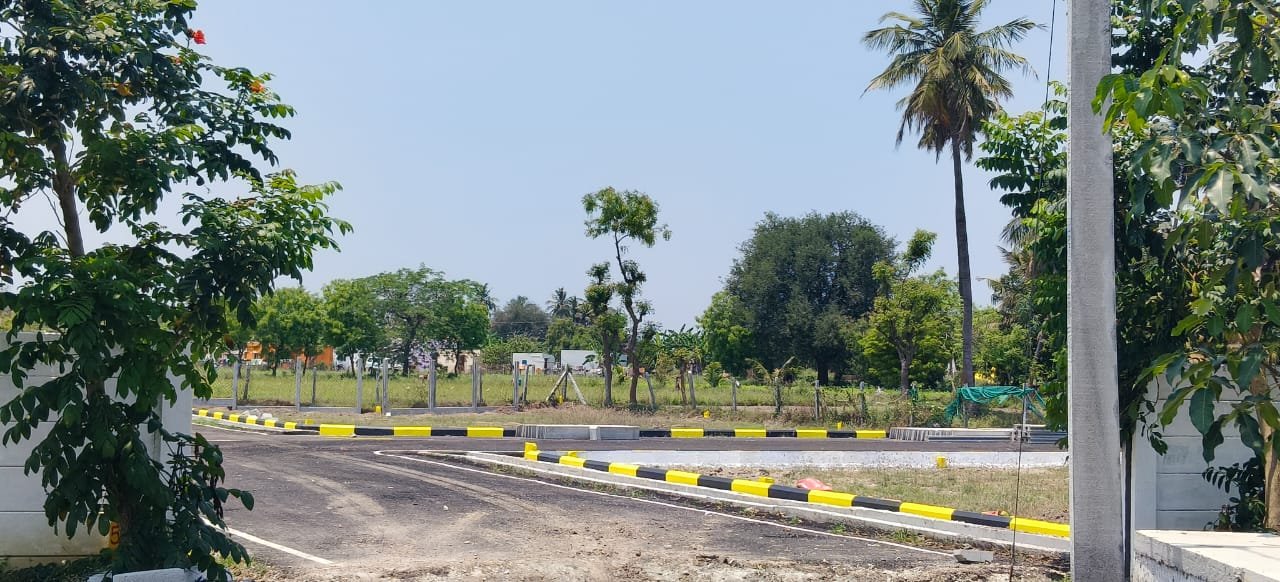 Spacious avenue perspective with clear open horizons