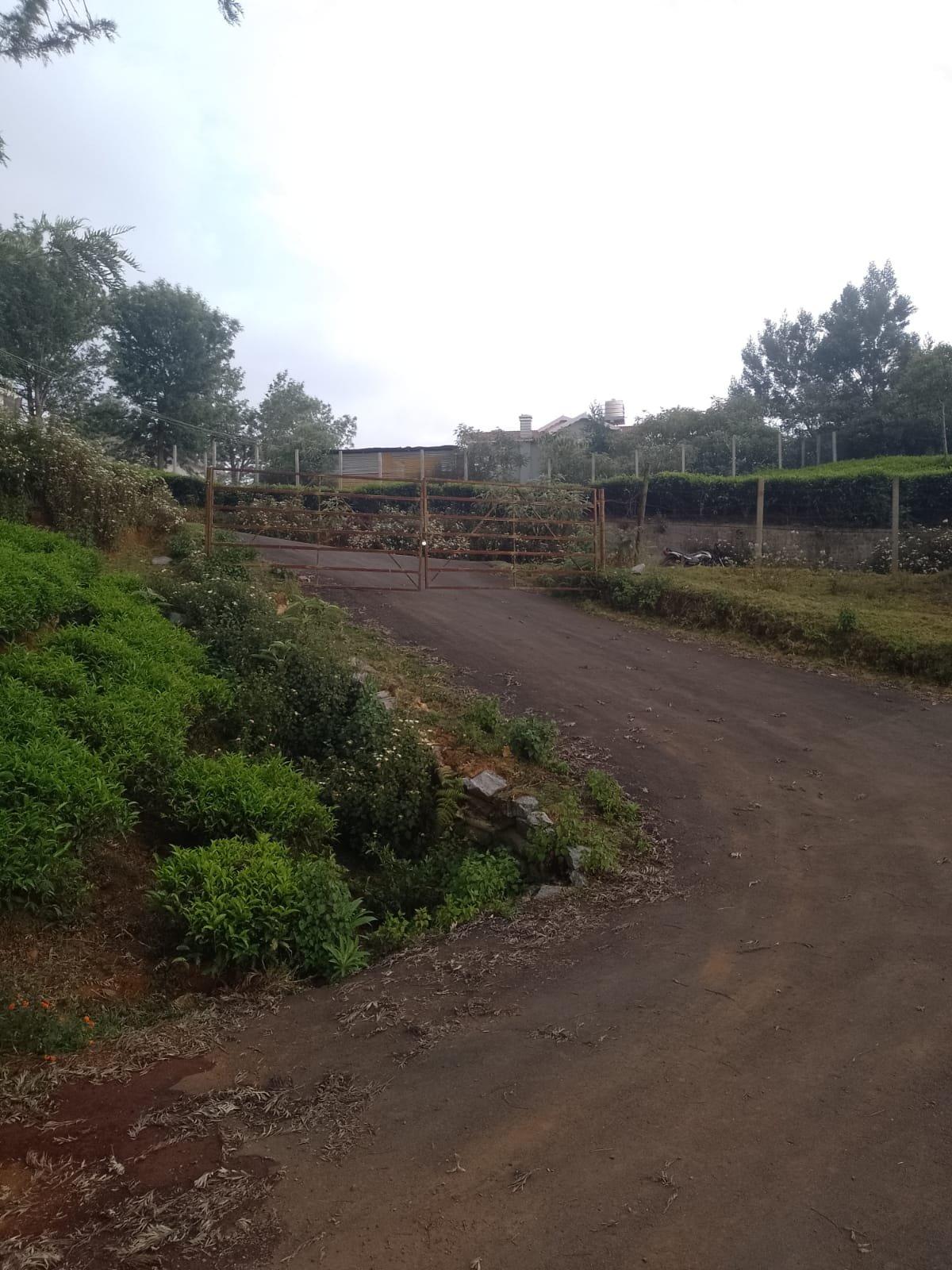 Vertical perspective of boundary perimeter and greenery