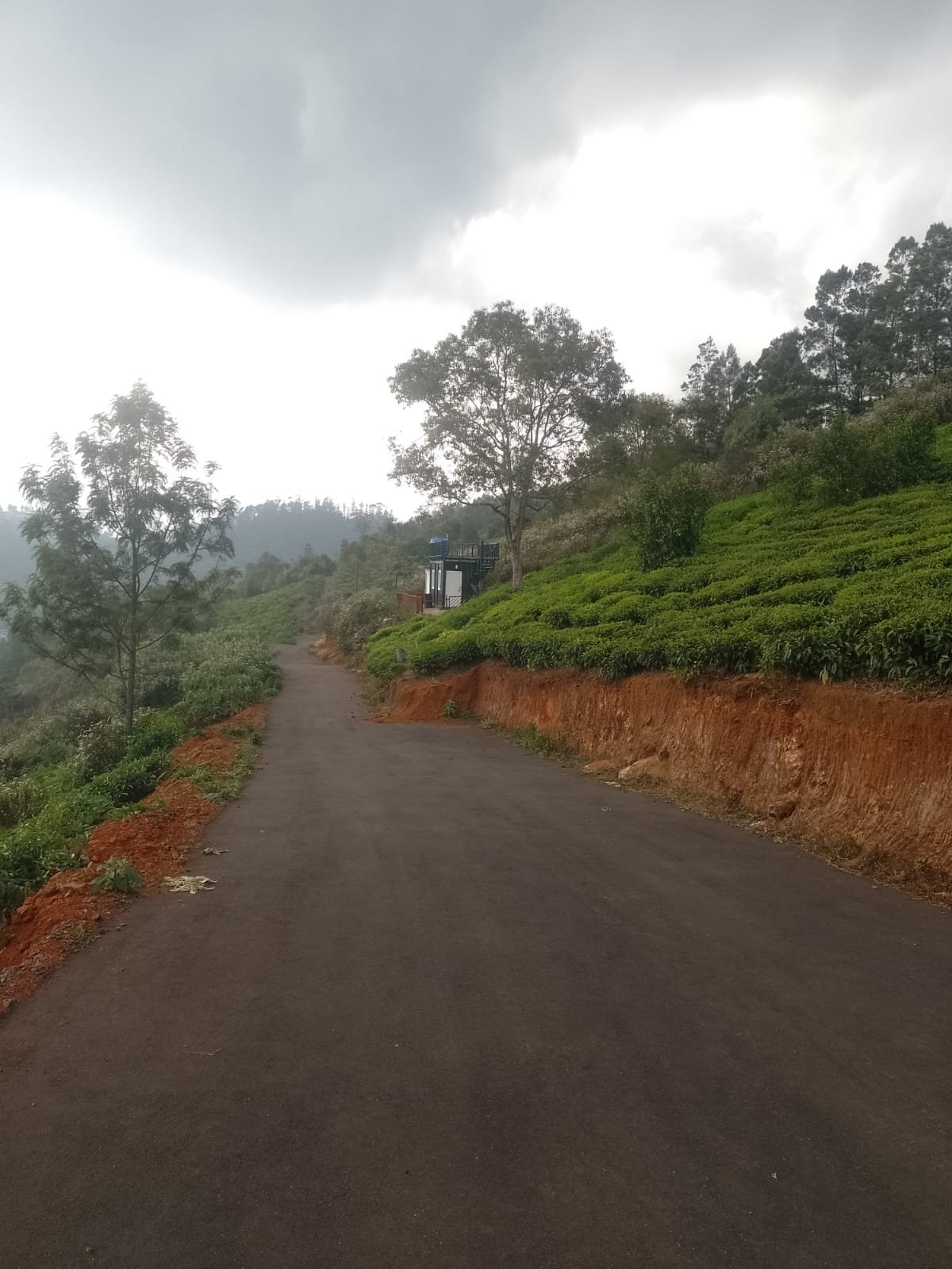 Nature-connected environment with fresh ventilation