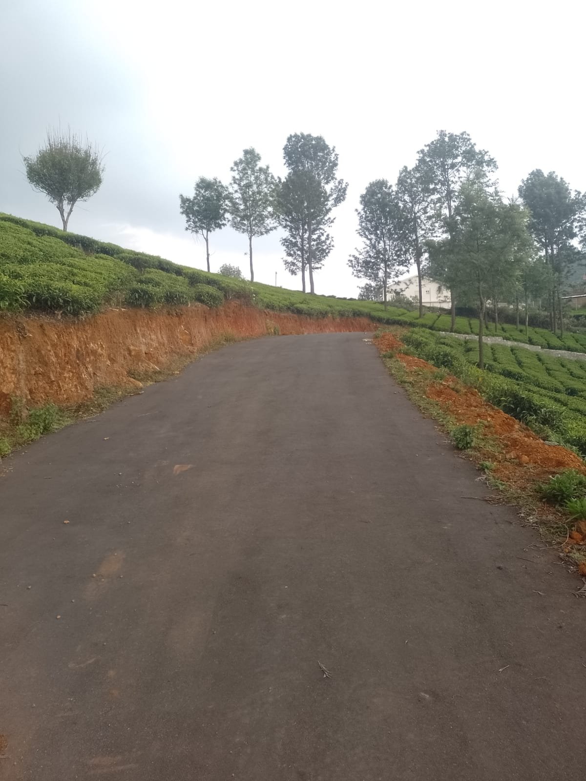 Well-planned layout with generous vehicular turning radii