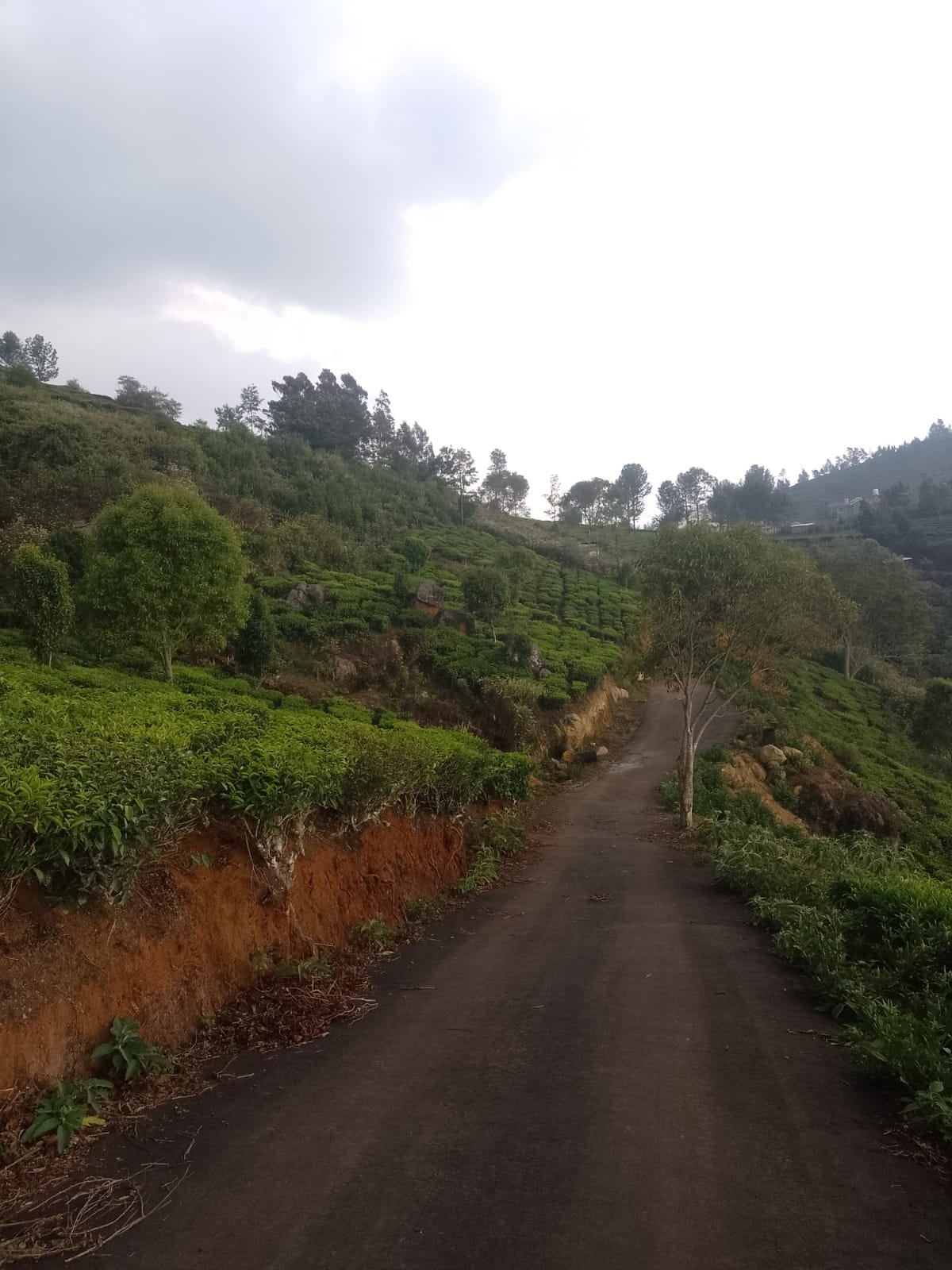 Executed infrastructure development by KSR Realty