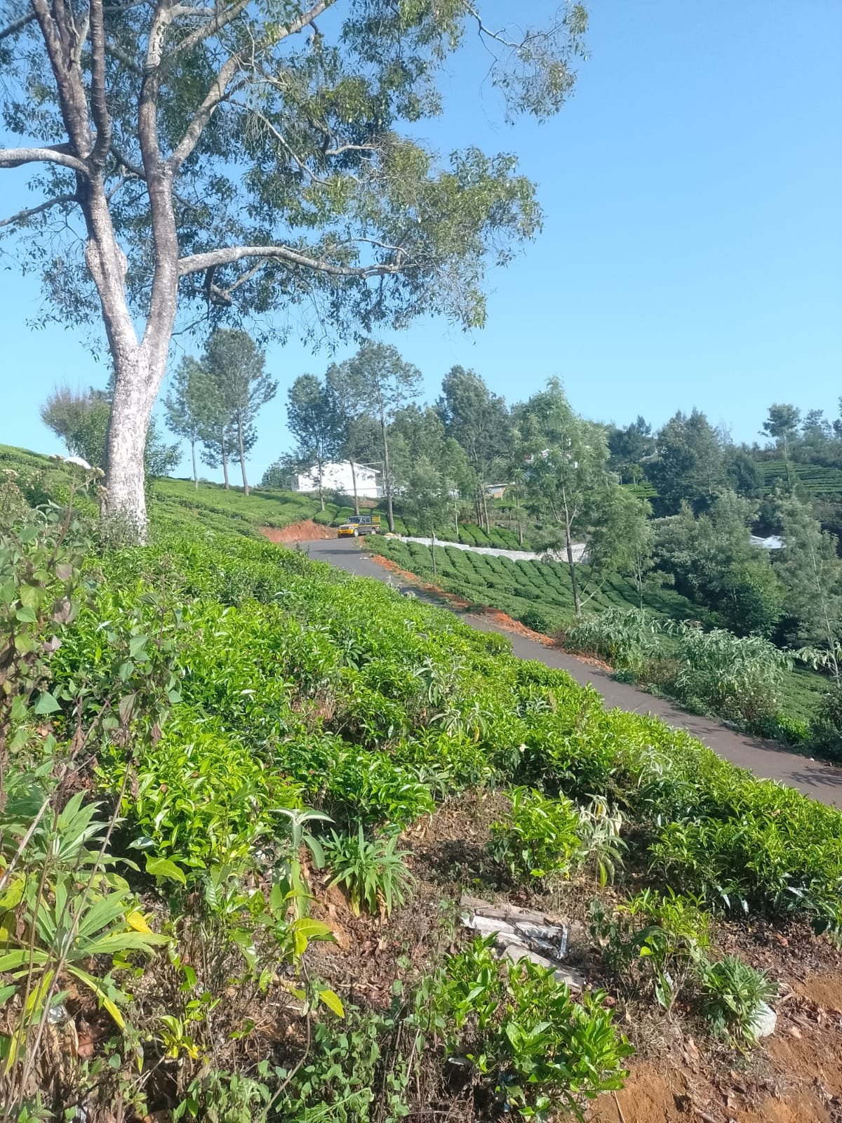 Dedicated boundary delineation across residential parcels